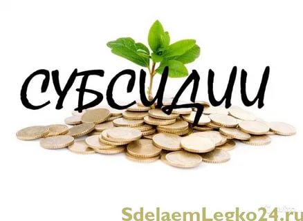 subsidii