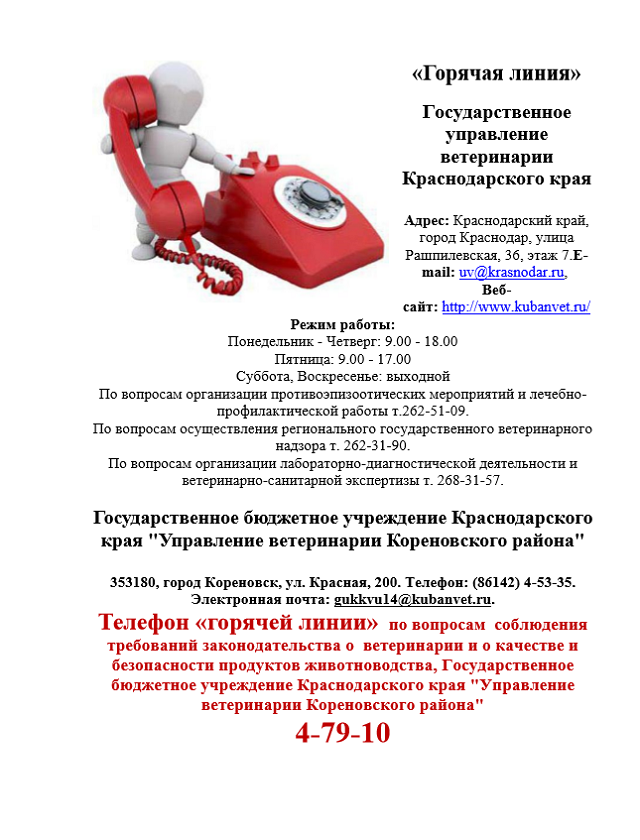 Банк хоум кредит телефон горячей линии 88007008006