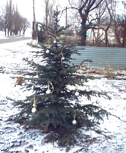 2016 12 19 1