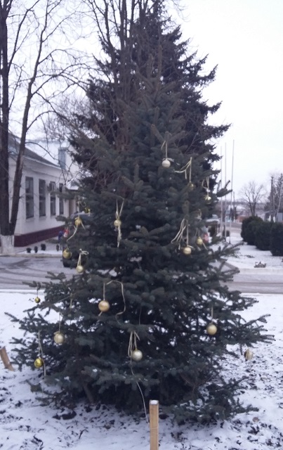 2016 12 19 2