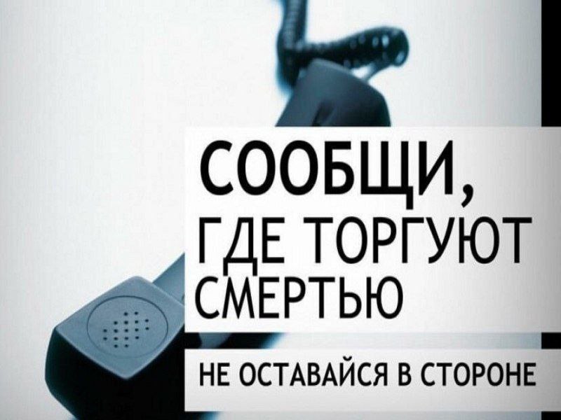 IMG 20250327 103312 099